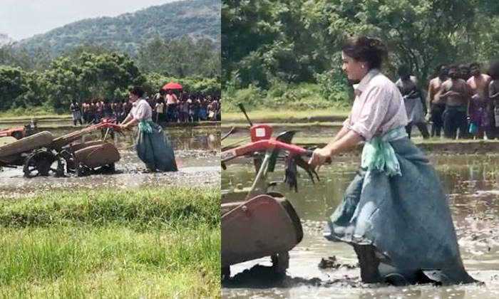  Rashmika Mandanna Turned As Farmer For Sultan Movie Video Viral , Rashmika Manda-TeluguStop.com