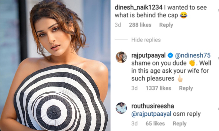  Rx100 Movie Fame Payal Rajput Fires On Netizen-TeluguStop.com