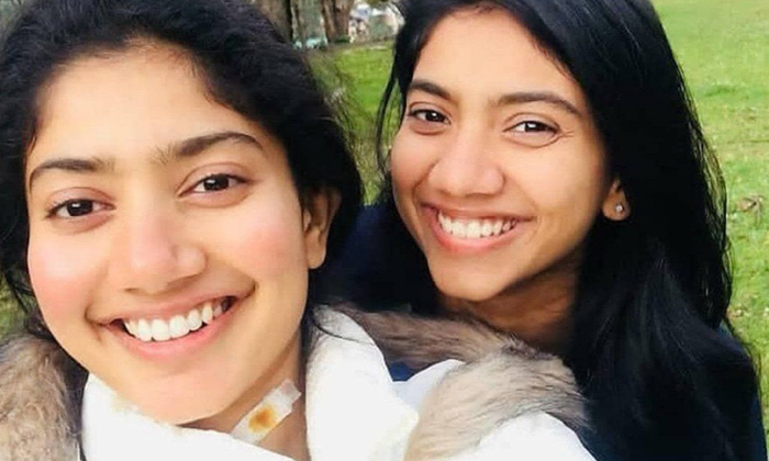  Saipallavi Sister Puja Kannan Make Her Debut Movies, Sai Pallavi, Saipallavi Sis-TeluguStop.com