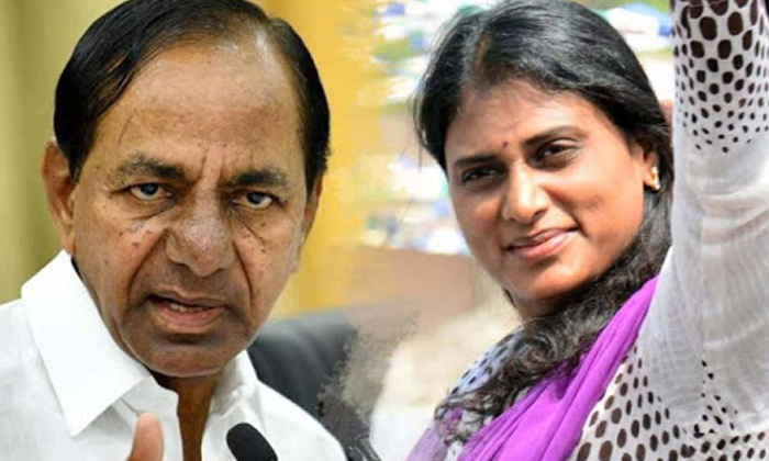  Trs Targets Sharmila, Ys Sharmila New Party, Trs, Kcr, Telangana Politics, Andhr-TeluguStop.com