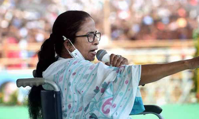  Mamata Banerjee Calls Herself Donkey For Not Recognizing True Face Of Adhikari F-TeluguStop.com