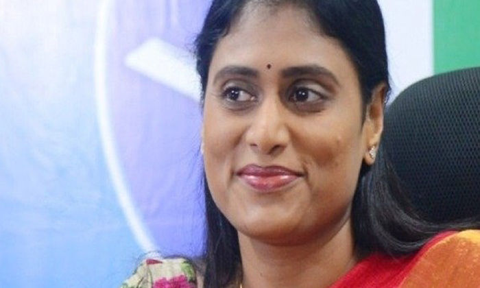  Which Party Will Sharmila Support In Nagarjuna Sagar By-election?,sharmila New P-TeluguStop.com