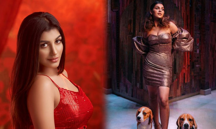 Yashika Aannand Red Dress Glamorous Images-telugu Actress Photos Yashika Aannand Red Dress Glamorous Images -  Yashikaaa High Resolution Photo