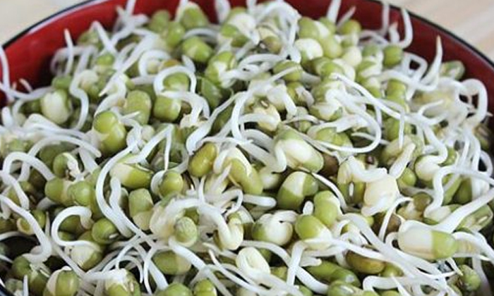  Sprouts Is Not Good For Pregnants! Sprouts, Pregnants, Benefits Of Sprouts, Effe-TeluguStop.com