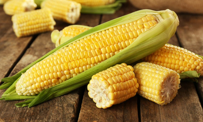  Eat Corn, Pregnant, Corn For Pregnants, Benefits Of Corn, Corn For Health, Healt-TeluguStop.com