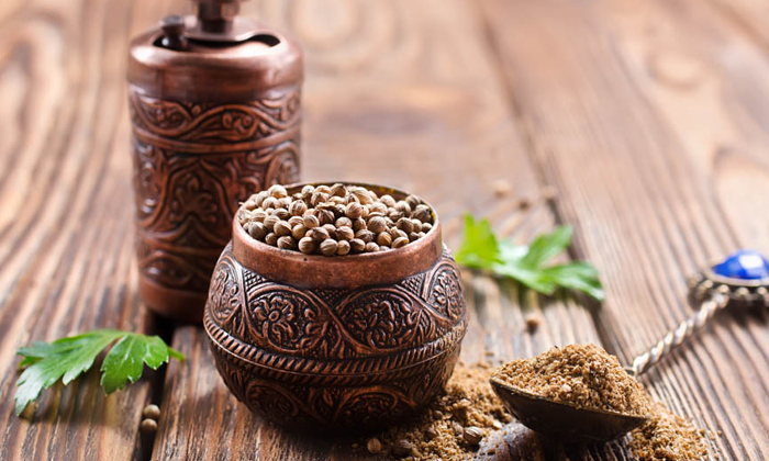  Coriander Seeds Can Improve Memory Power! Coriander Seeds, Improve Memory Power,-TeluguStop.com