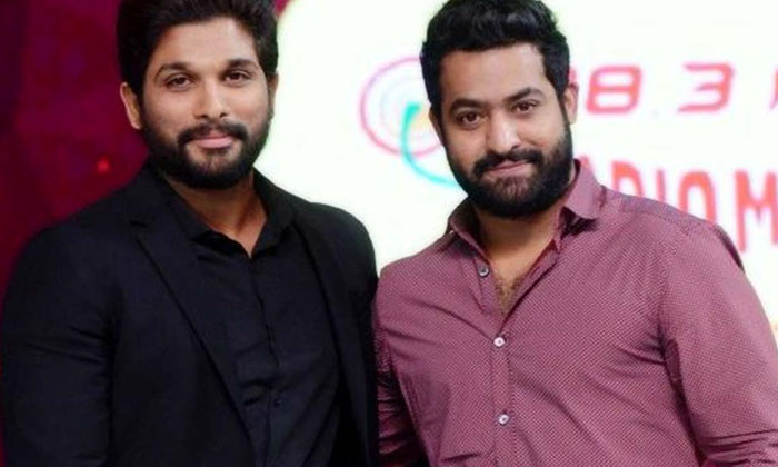  Allu Arjun And Tarak Rejected Movie Achieved 7 Nandi Awards, Ntr, Allu Arjun, Bo-TeluguStop.com