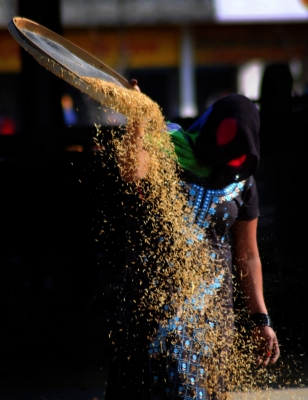  Pm Suggests Farmers To Promote Coarse Grain (ld)-TeluguStop.com