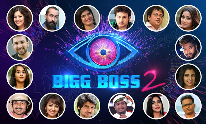 Telugu Bigg Boss, Bigg Boss Show, Common, Nagarjuna, Nani, Rumours, Season-Movie