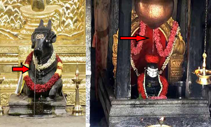  Scientific Mystery Of Water Flow Of Dakshina Mukha Nandeeshwara Temple ,  Nandee-TeluguStop.com