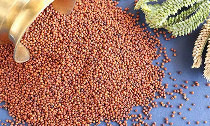  Side Effects Of Over Eating Finger Millet! Side Effects, Over Eating Finger Mill-TeluguStop.com