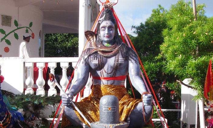  If You Go Around The Tree To Change On The Day Of Maha Shivaratri, Maha Sivaratr-TeluguStop.com