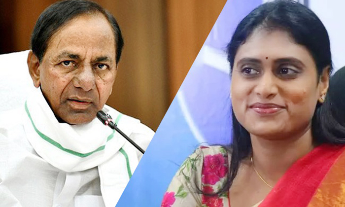  Ys Sharmila More Active On Telangana Politics Aims To Become Telangana Cm-TeluguStop.com