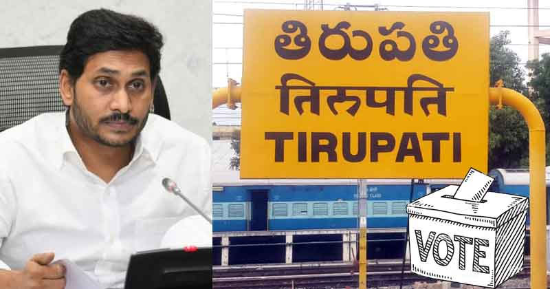 Telugu Chandrababu, Tirupathi, Ysrcp-Telugu Political News