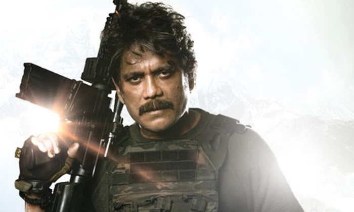  Hero Nagarjuna Wild Dog Movie First Day Collection Details, 3 Crores 50 Lakh Rup-TeluguStop.com