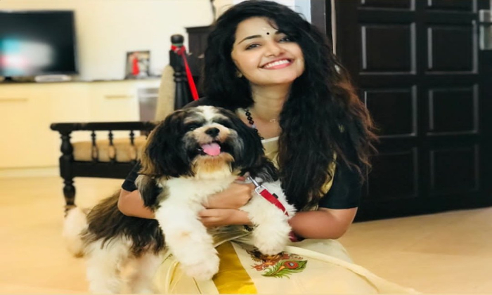  Anupama Emotional Post On Her Pet Dog Vicky, Tollywood, 18 Pages Movie, Karthike-TeluguStop.com