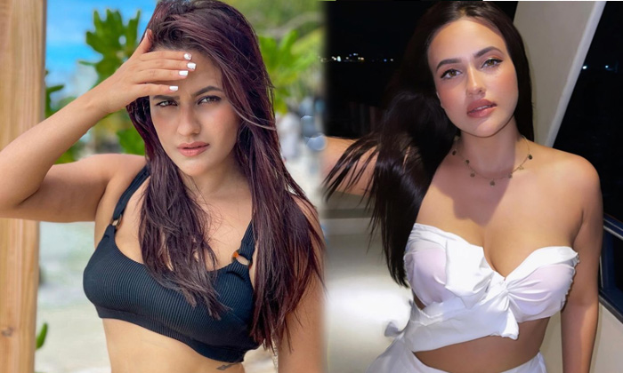 Bollywood Actress Aahna Sharma Beautiful Viral Images-telugu Actress Photos Bollywood Actress Aahna Sharma Beautiful Vir High Resolution Photo