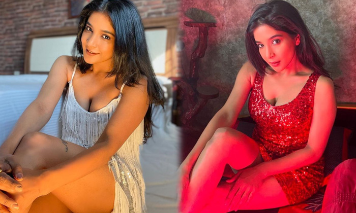 Bollywood Actress Sakshi Agarwal Latest Glamorous Photos - Sakshi Agarwal Sakshiagarwal High Resolution Photo