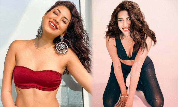 Bollywood Actress Shivani Singh Spicy Looks-telugu Actress Photos Bollywood Actress Shivani Singh Spicy Looks - Bollywoo High Resolution Photo