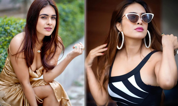 Bollywood Beauty Actress Neha Malik Awesome Clicks - Actressneha Nehamalik Neha Malik High Resolution Photo