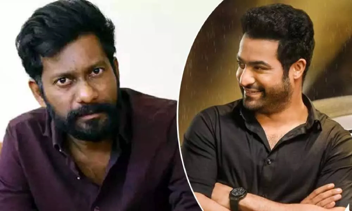  Jr.ntr Teams Up With Buchibabu For His Next??-TeluguStop.com