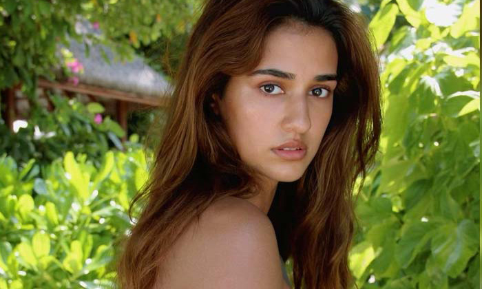  Pic Talk: Disha Patani Kills It In Bikini Once Again-TeluguStop.com