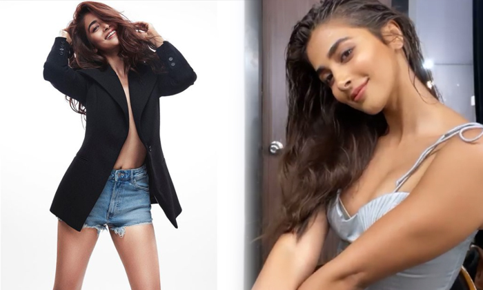 Hd Photos Of Social Media Sensation Telugu Actress Pooja Hegde-telugu Actress Photos Hd Photos Of Social Media Sensation High Resolution Photo