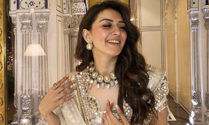  Hansika Motwani’s One Of A Kind Experiment-TeluguStop.com