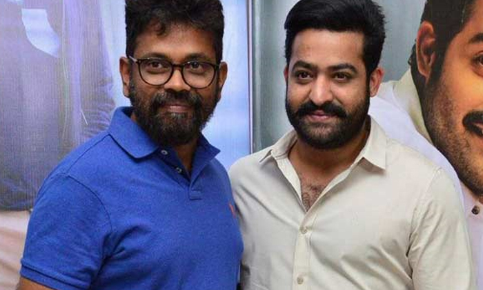  Sukumar To Join Forces With Jr.ntr For His Next-TeluguStop.com