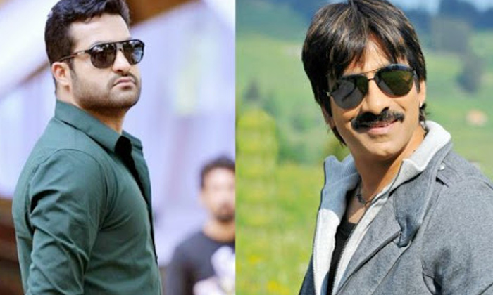  Ravi Teja Got Super Hit Movies With Jr Ntr Rejected Projects ,  Jr Ntr Rejected-TeluguStop.com