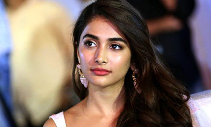  Tollywood Actress Pooja Hegde Mourns Her Teacher Demise, Pooja Hegde,pooja Hegde-TeluguStop.com