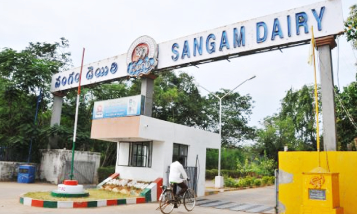  Sangam Dairy Directors Appointed A New Chairman !!-TeluguStop.com