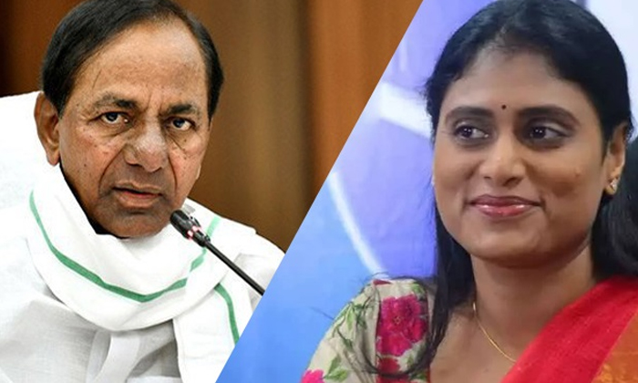  Telangana Political Partys Not Respond On Ys Sharmil -comments Ys Sharmila, Tel-TeluguStop.com