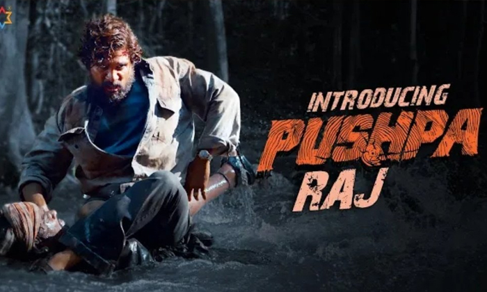  Allu Arjun Pushpa Movie Teaser Review , Allu Arjun, Pushpa, Pushpa Raj, Pushpa T-TeluguStop.com