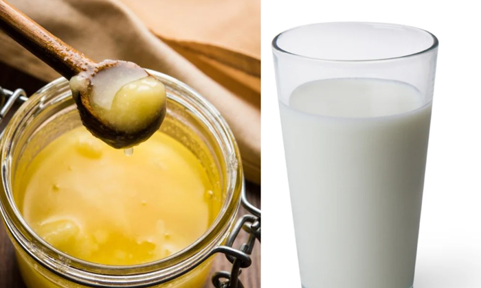  Drinking Ghee With Milk Before Bed! Drinking Ghee With Milk, Bed, Ghee With Milk-TeluguStop.com