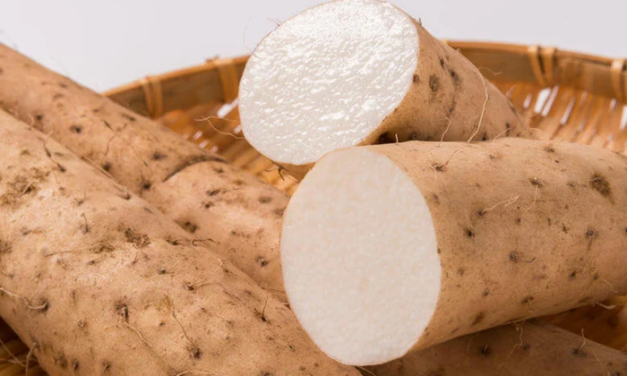  Taro Root Helps To Control Menopause Problemstaro Root, Menopause Problems, Meno-TeluguStop.com