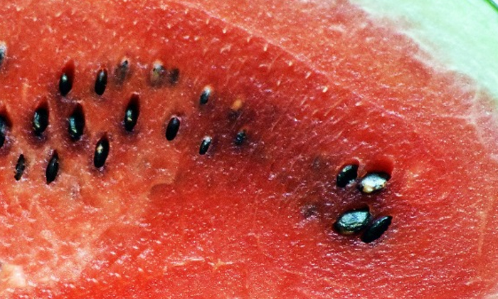  What Happens If Eat Watermelon With Seeds! Eat Watermelon With Seeds, Watermelon-TeluguStop.com