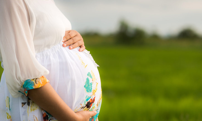 Telugu Tips, Latest, Pregnant, Tips Pregnant-Telugu Health - తెలుగు