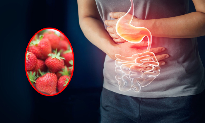  Strawberries Help To Reduce Stomach Ulcer! Strawberries, Reduce Stomach Ulcer, S-TeluguStop.com