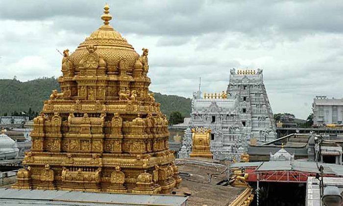  Secrets Behind Sri Venkateswara Swamy Statue In Tirumala , Tirupathi, Srivari Se-TeluguStop.com