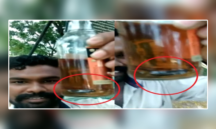  Snake Found In Liquor Bottle In Tamilnadu , Snake, Liquor Shop, Liquor Bottle, V-TeluguStop.com