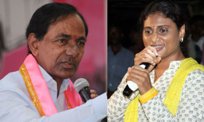  Does Anyone Care About Sharmila In Telangana, , Ap, Bjp, Congress, Jagan, Kcr,-TeluguStop.com