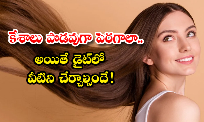 மட வளர உதவம உணவகள Hair Growth Foods List in Tamil