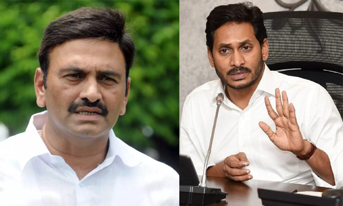  Ycp Rebel Mp Raghurama Krishnama Raju Petition Against Jagan Bail , Jagan, Ysrcp-TeluguStop.com