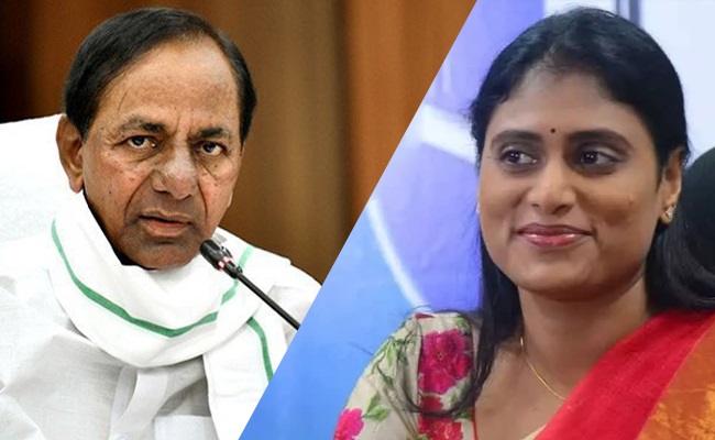  Ys Sharmila Serious Comments On Kcr Ys Sharmila, Kcr, Telangana Political, Cm Kc-TeluguStop.com