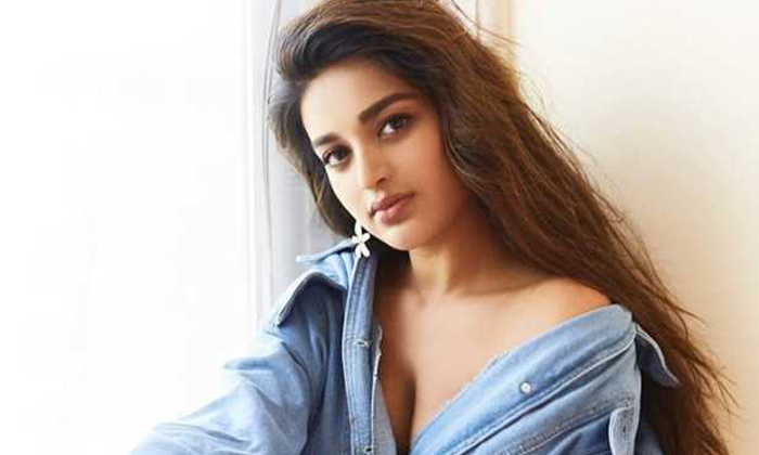  Nidhi Agerwal Post Goes Viral In Social Media, Nidhhi Agerwal, Niddhi Agerwal Pe-TeluguStop.com