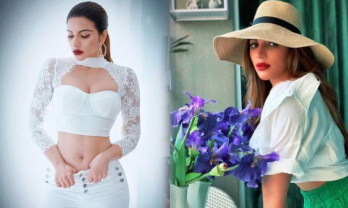 Bollywood Actress Shama Sikander Gorgeous Clicks-telugu Trending Latest News Updates Bollywood Actress Shama Sikander Go High Resolution Photo