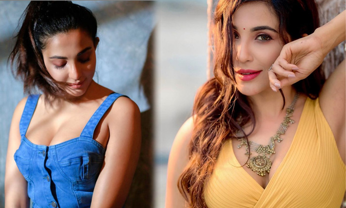 Bollywood Gorgeous Actress Parvati Nair New Images  - Actressparvati Parvati Nair High Resolution Photo