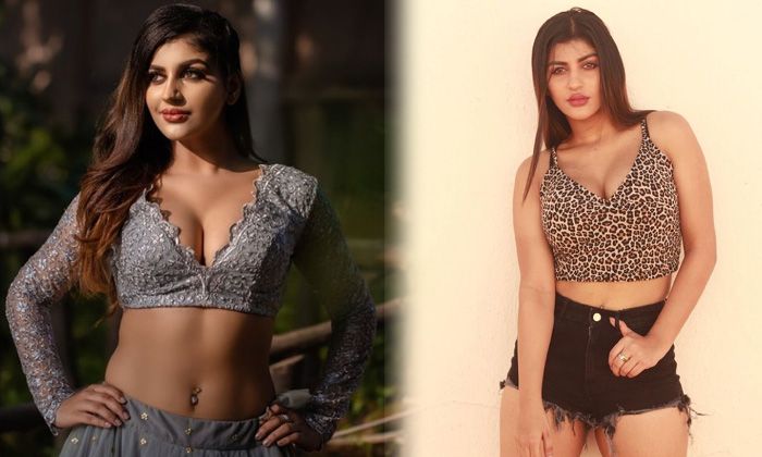 Bollywood Stunning Actress Yashika Aannand Hot Trendy Poses-telugu Actress Photos Bollywood Stunning Actress Yashika Aan High Resolution Photo