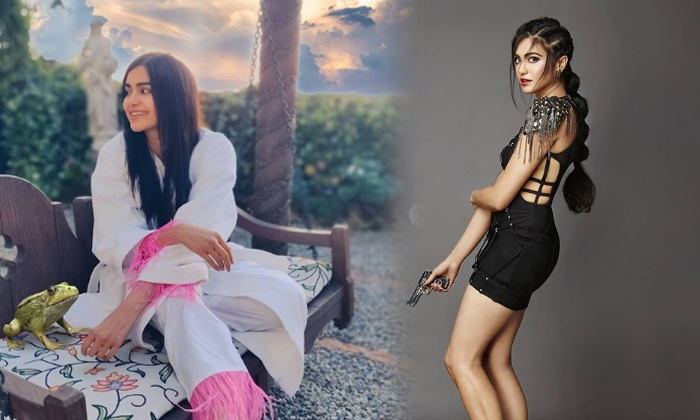 Glamorous Pics Of Actress Adah Sharma-telugu Actress Photos Glamorous Pics Of Actress Adah Sharma - Actressadah  Adahsha High Resolution Photo